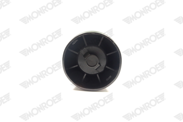 Ilustracja ASP036 MONROE poduszka powietrzna, zawieszenie