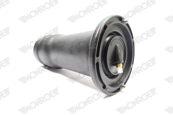 Ilustracja ASP036 MONROE poduszka powietrzna, zawieszenie