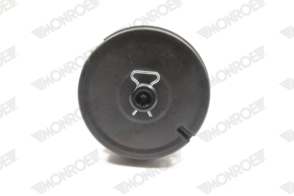 Ilustracja ASP038 MONROE poduszka powietrzna, zawieszenie