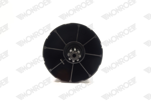 Ilustracja ASP038 MONROE poduszka powietrzna, zawieszenie