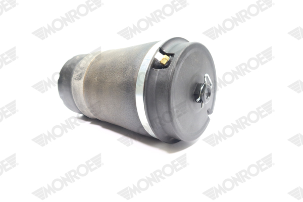 Ilustracja ASP038 MONROE poduszka powietrzna, zawieszenie