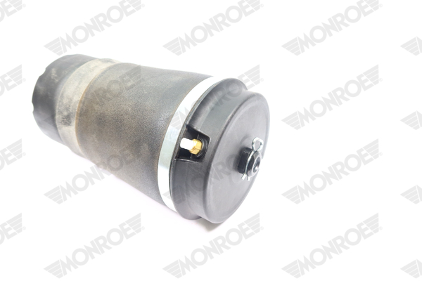 Ilustracja ASP038 MONROE poduszka powietrzna, zawieszenie