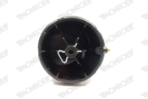 Ilustracja ASP039 MONROE poduszka powietrzna, zawieszenie