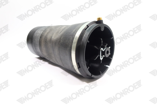 Ilustracja ASP039 MONROE poduszka powietrzna, zawieszenie