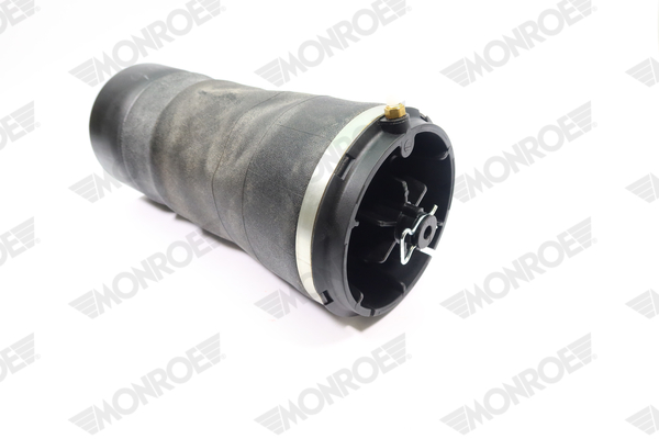 Ilustracja ASP039 MONROE poduszka powietrzna, zawieszenie