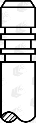 Ilustracja V95229 AE zawór wydechowy