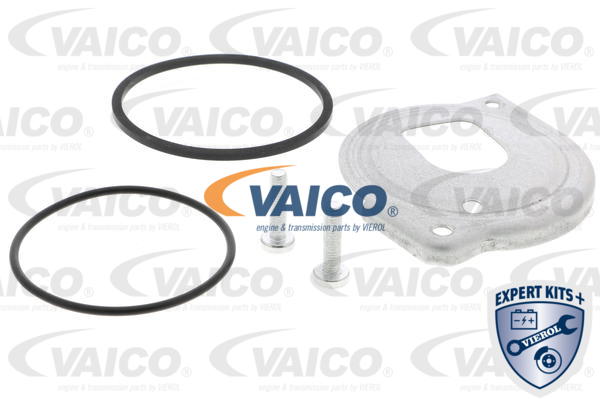 Ilustracja V10-4341 VAICO separator oleju, odpowietrzenie przestrzeńi korbowej