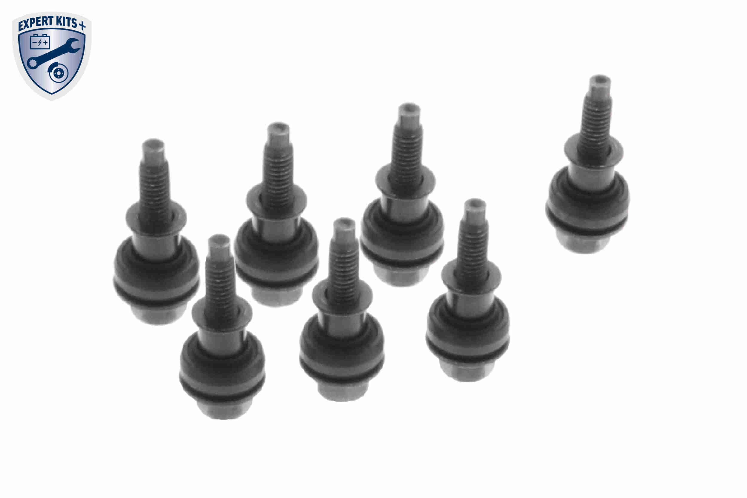 Ilustracja V10-5801 VAICO pokrywa głowicy cylindrów