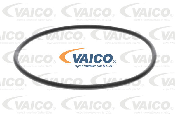 Ilustracja V10-5823 VAICO pokrywa obudowy, filtr hydrauliki (autom. skrzyni biegów)