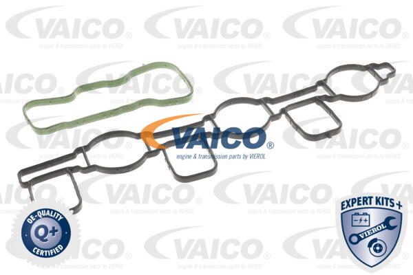 Ilustracja V10-6482 VAICO moduł rury wlotowej