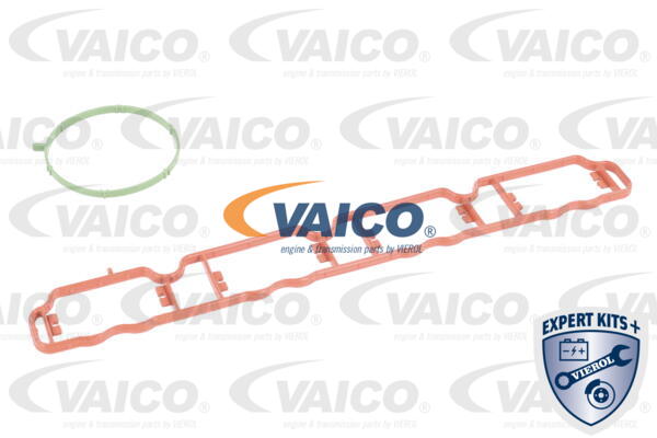 Ilustracja V10-6770 VAICO moduł rury wlotowej