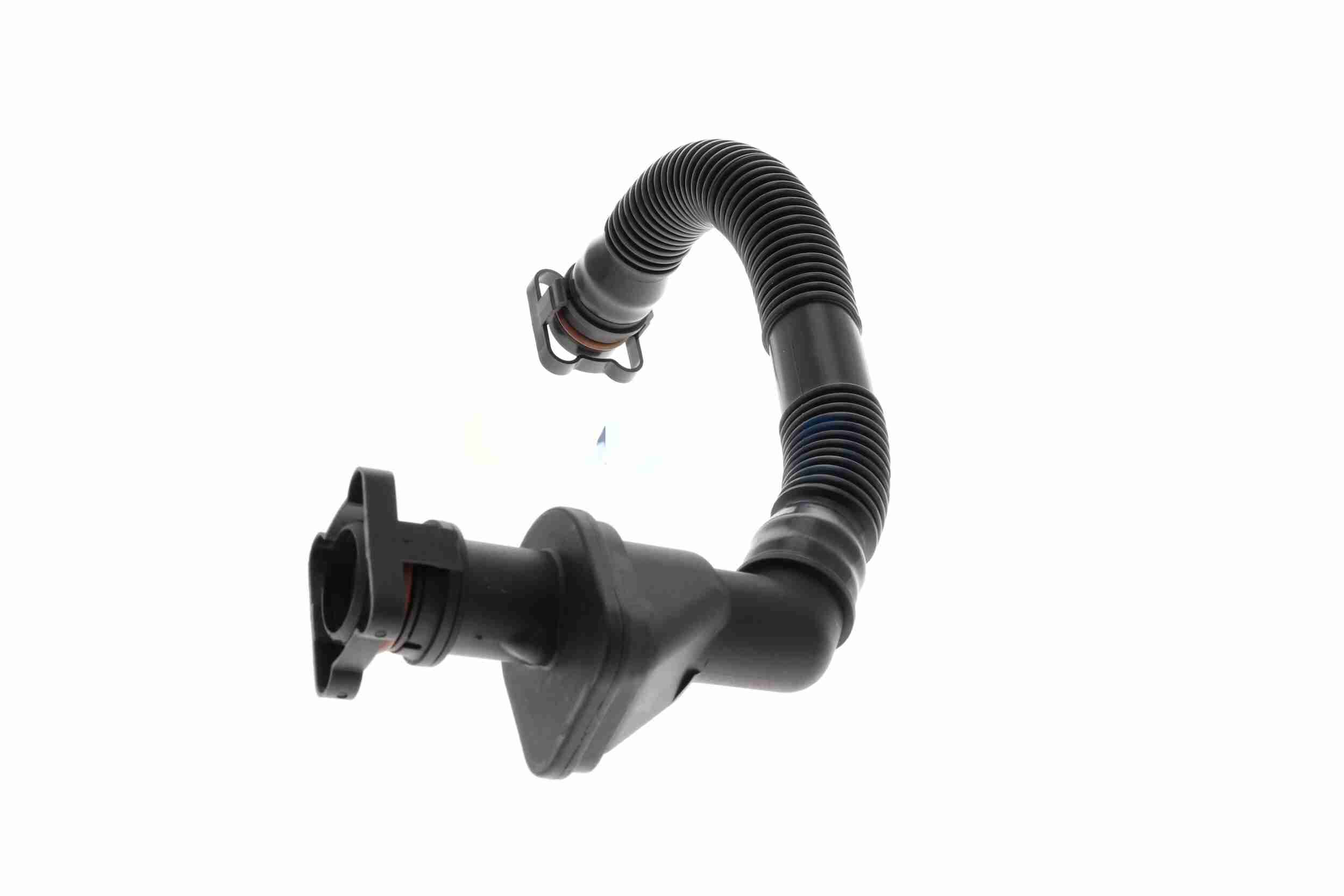 Ilustracja V20-3576 VAICO odma / wentylacja skrzyni korbowej