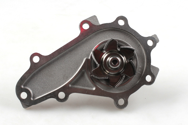 Ilustracja P7538 HEPU pompa wody, chłodzenie silnika