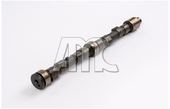 Ilustracja 647013 AMC wałek rozrządu