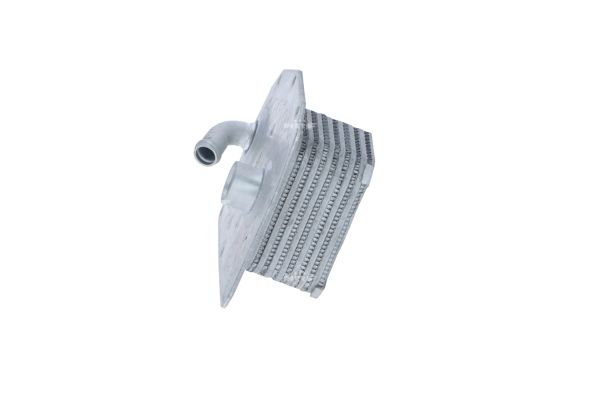 Ilustracja 31761 NRF chłodnica oleju, olej silnikowy