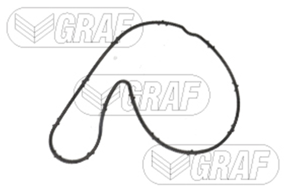 Ilustracja PA1615 GRAF pompa wody, chłodzenie silnika