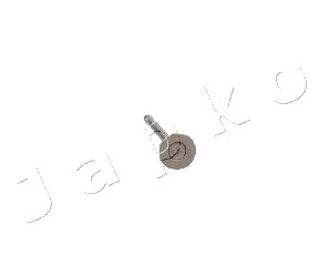 Ilustracja 5HY003 JAPKO zawór wydechowy
