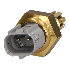 Ilustracja 64202 JAPKO czujnik, temperatura powietrza dolotowego