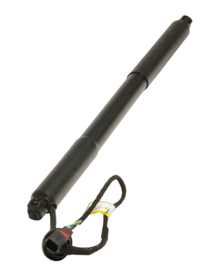 Ilustracja 12-2551 MAXGEAR spręż. gazowa, podłoga wkładana (bagażnik/przestrzeń ładun.)