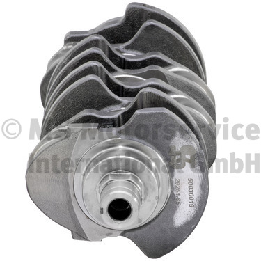 Ilustracja 50030019 KOLBENSCHMIDT wał korbowy