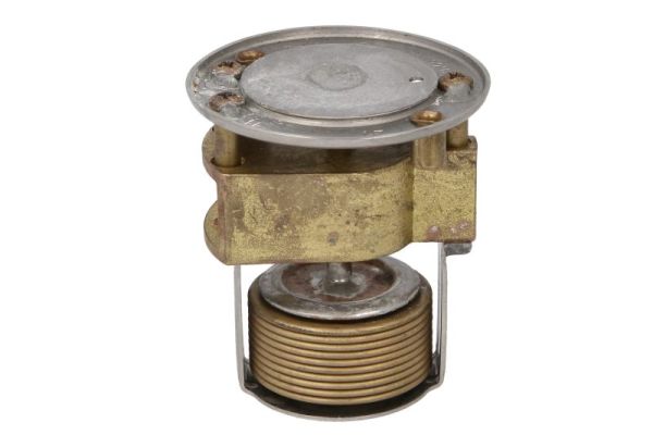 Ilustracja D2AU001TT THERMOTEC termostat, płyn chłodzący