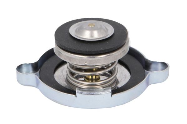 Ilustracja D30012TT THERMOTEC korek, chłodnica