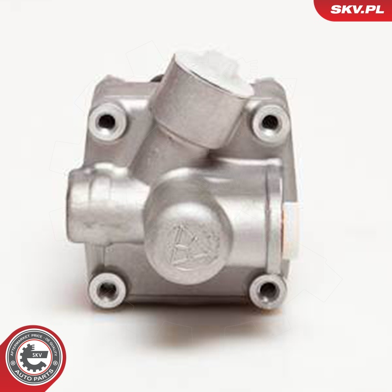 Ilustracja 10SKV005 ESEN SKV pompa hydrauliczna, układ kierowniczy