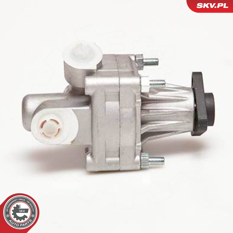 Ilustracja 10SKV005 ESEN SKV pompa hydrauliczna, układ kierowniczy