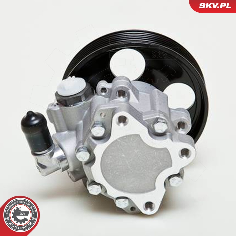 Ilustracja 10SKV009 ESEN SKV pompa hydrauliczna, układ kierowniczy