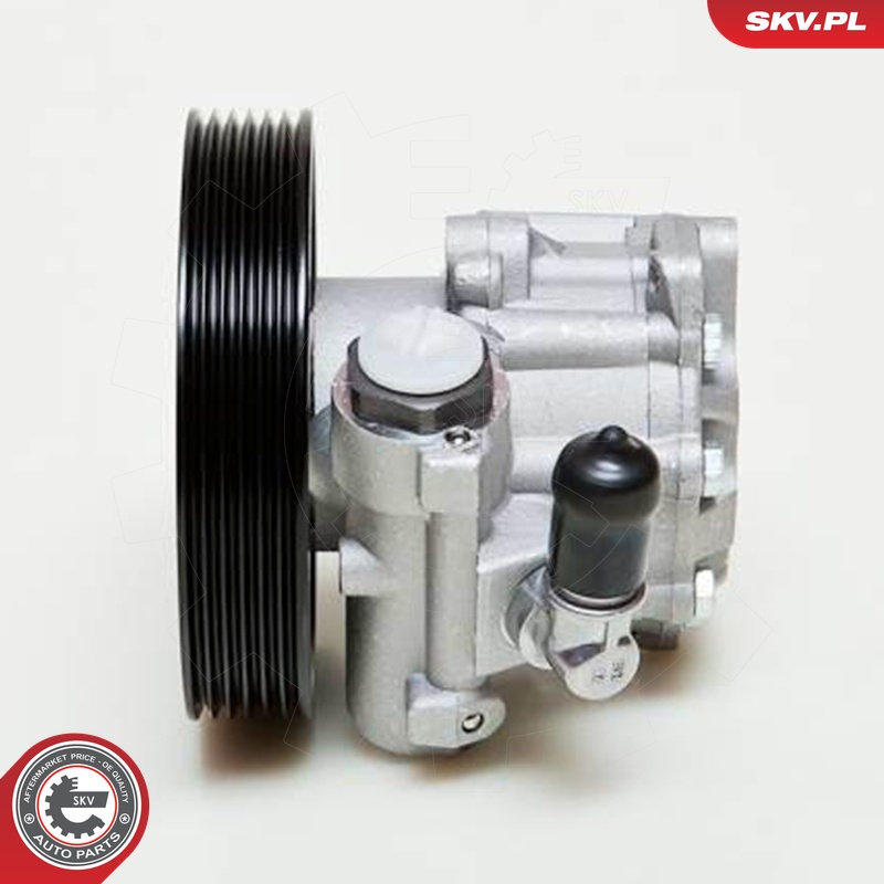 Ilustracja 10SKV009 ESEN SKV pompa hydrauliczna, układ kierowniczy