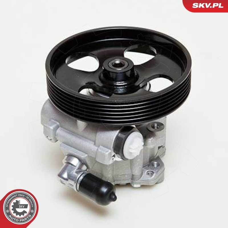 Ilustracja 10SKV009 ESEN SKV pompa hydrauliczna, układ kierowniczy