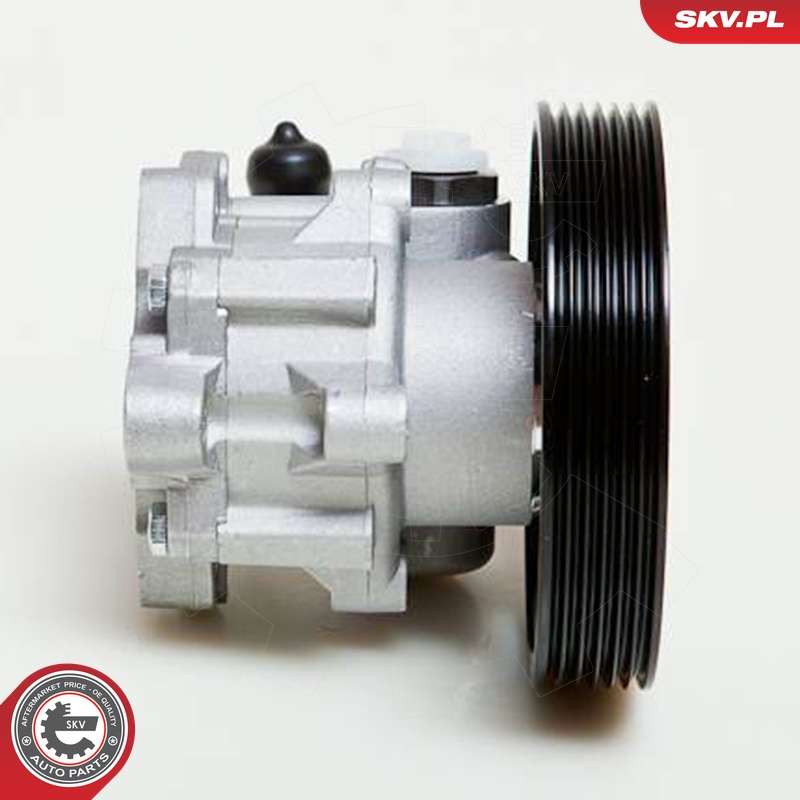 Ilustracja 10SKV009 ESEN SKV pompa hydrauliczna, układ kierowniczy