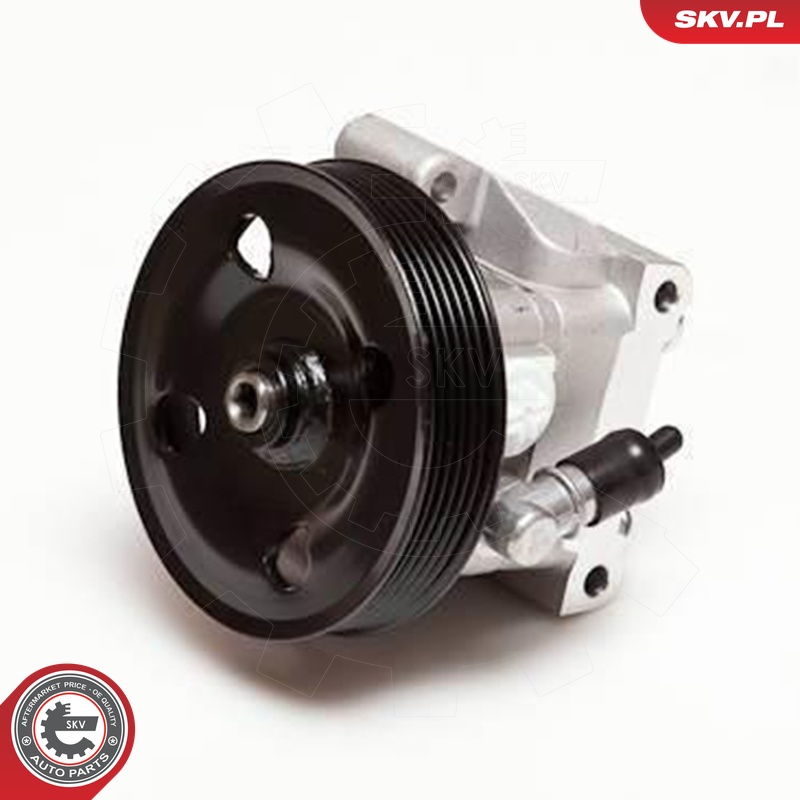 Ilustracja 10SKV001 ESEN SKV pompa hydrauliczna, układ kierowniczy
