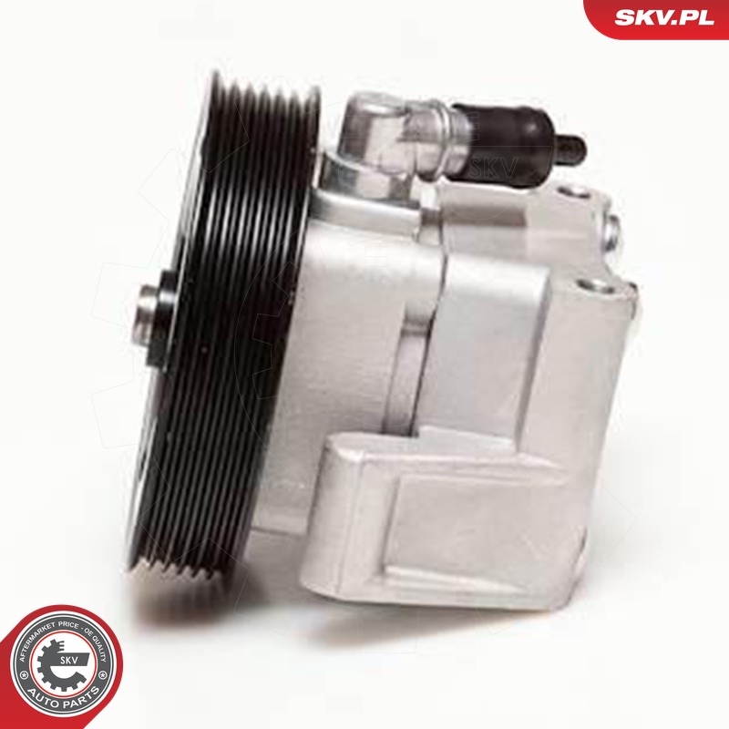 Ilustracja 10SKV001 ESEN SKV pompa hydrauliczna, układ kierowniczy