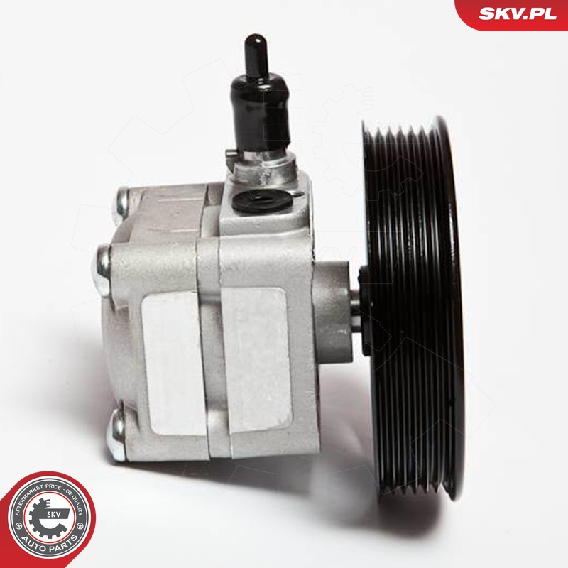 Ilustracja 10SKV010 ESEN SKV pompa hydrauliczna, układ kierowniczy