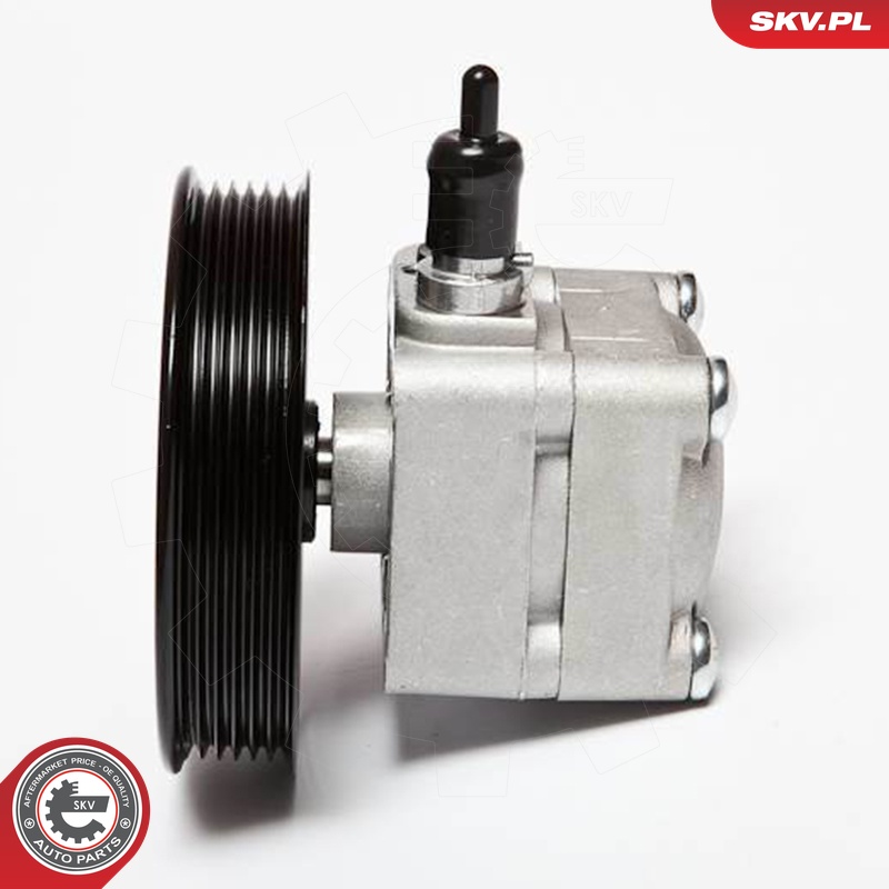 Ilustracja 10SKV010 ESEN SKV pompa hydrauliczna, układ kierowniczy
