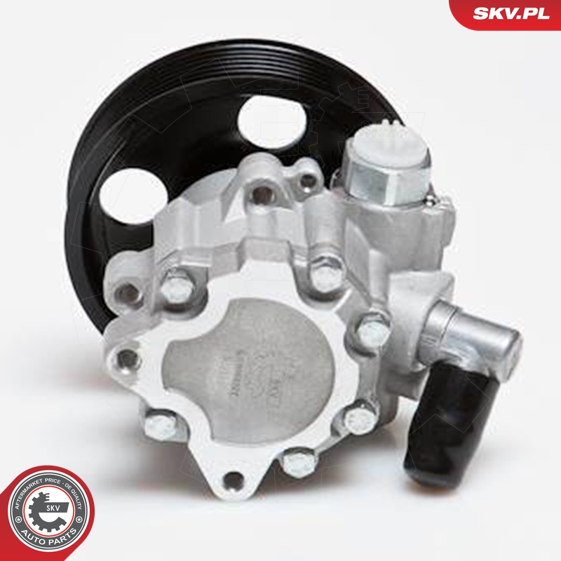 Ilustracja 10SKV024 ESEN SKV pompa hydrauliczna, układ kierowniczy
