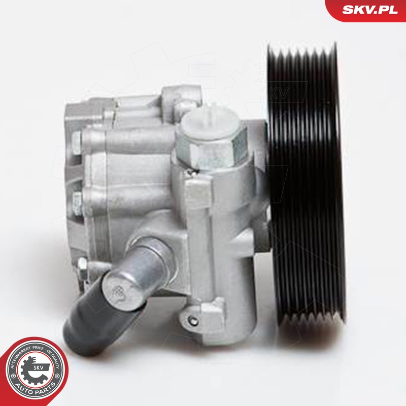 Ilustracja 10SKV024 ESEN SKV pompa hydrauliczna, układ kierowniczy