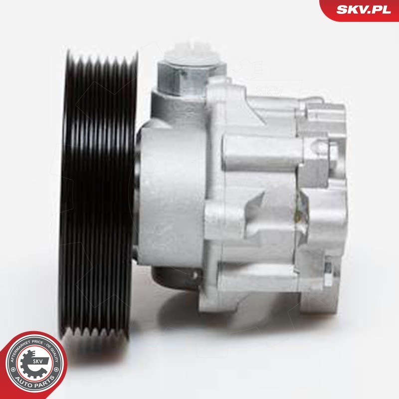 Ilustracja 10SKV024 ESEN SKV pompa hydrauliczna, układ kierowniczy