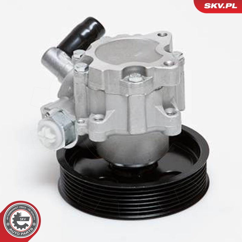 Ilustracja 10SKV024 ESEN SKV pompa hydrauliczna, układ kierowniczy
