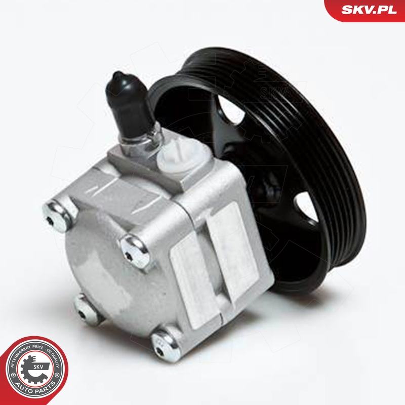 Ilustracja 10SKV027 ESEN SKV pompa hydrauliczna, układ kierowniczy