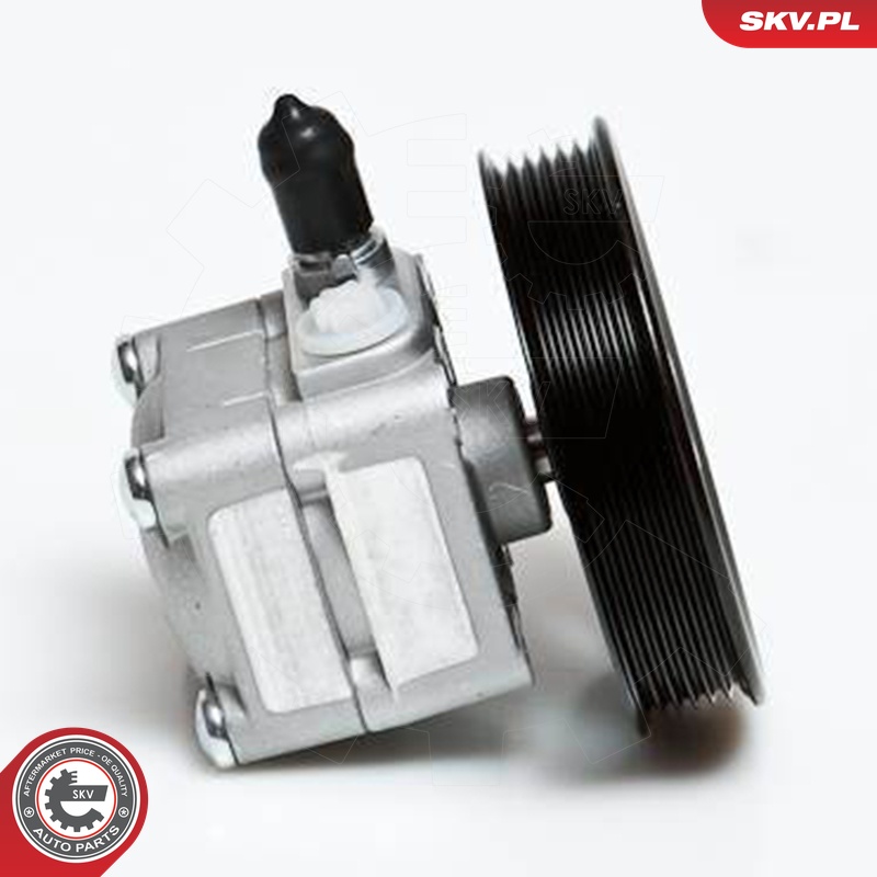 Ilustracja 10SKV027 ESEN SKV pompa hydrauliczna, układ kierowniczy