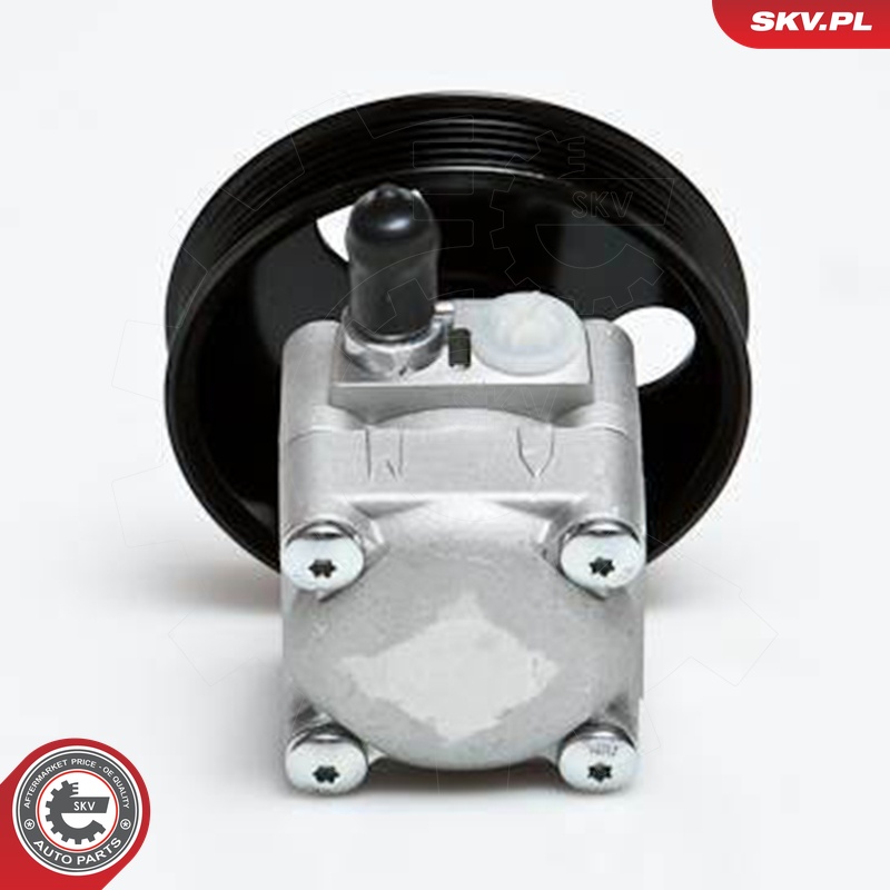 Ilustracja 10SKV027 ESEN SKV pompa hydrauliczna, układ kierowniczy
