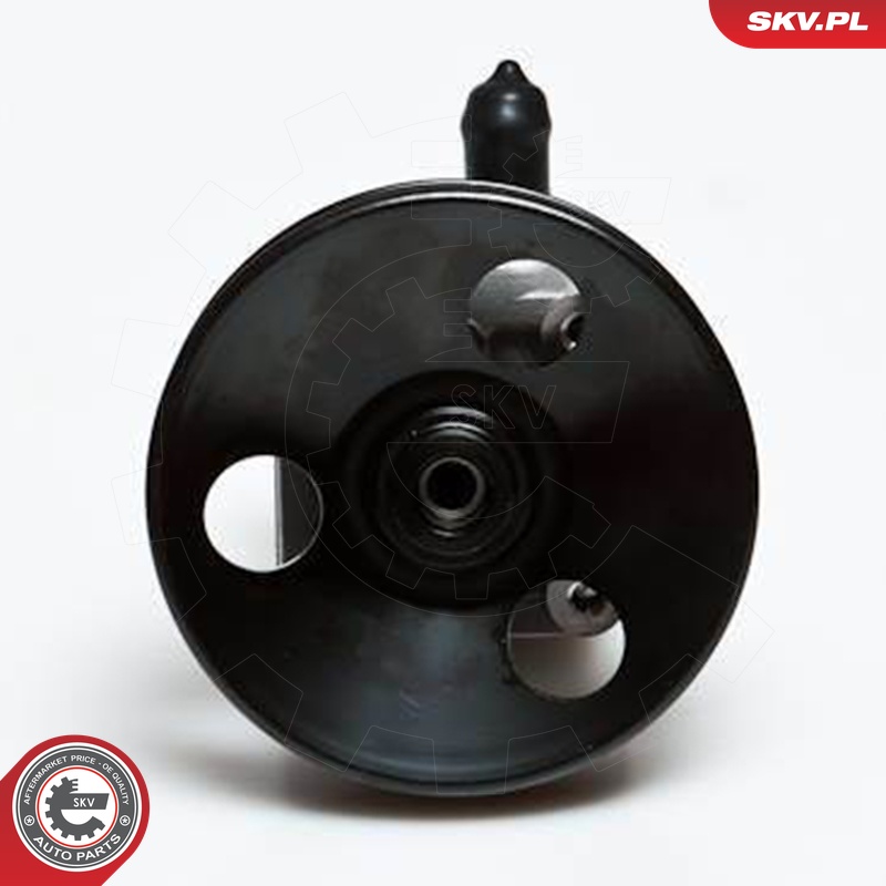 Ilustracja 10SKV027 ESEN SKV pompa hydrauliczna, układ kierowniczy
