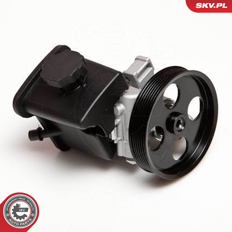 Ilustracja 10SKV029 ESEN SKV pompa hydrauliczna, układ kierowniczy