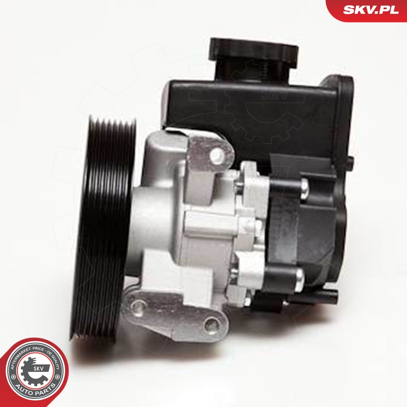 Ilustracja 10SKV029 ESEN SKV pompa hydrauliczna, układ kierowniczy