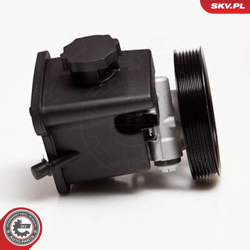 Ilustracja 10SKV029 ESEN SKV pompa hydrauliczna, układ kierowniczy