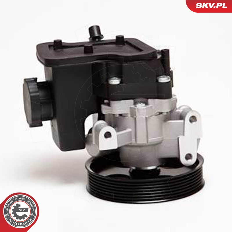 Ilustracja 10SKV029 ESEN SKV pompa hydrauliczna, układ kierowniczy