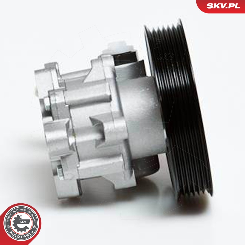 Ilustracja 10SKV022 ESEN SKV pompa hydrauliczna, układ kierowniczy