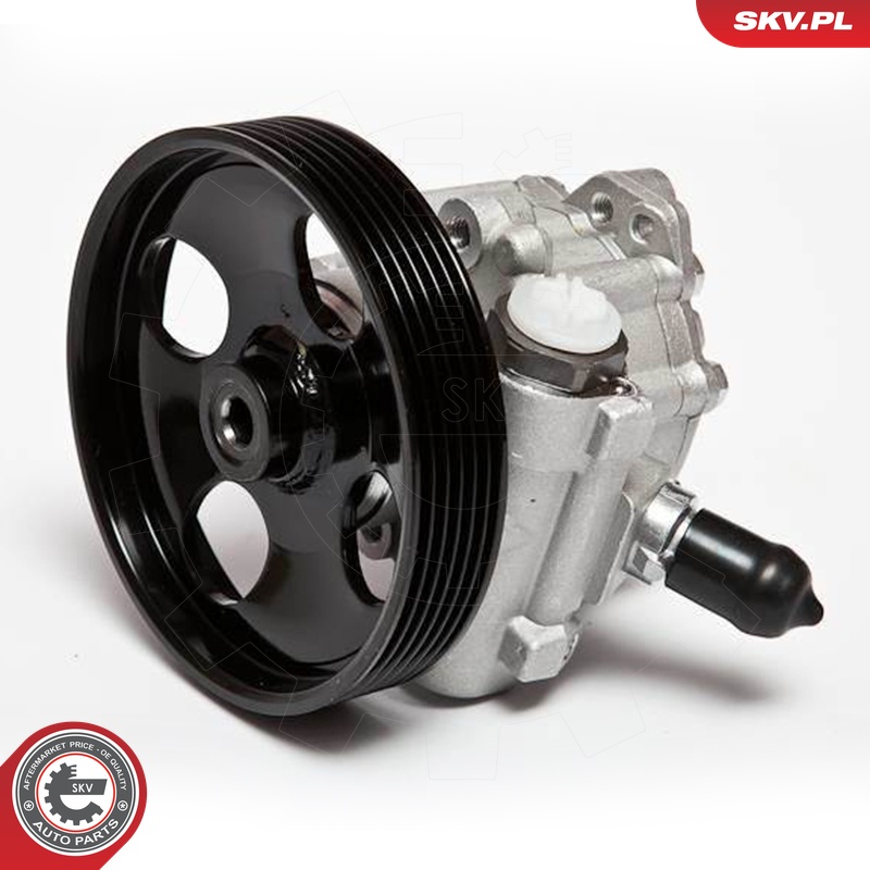 Ilustracja 10SKV023 ESEN SKV pompa hydrauliczna, układ kierowniczy